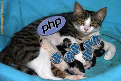 Wordpress in a Shared Hosting Environment Wordpress in a Shared Hosting Environment