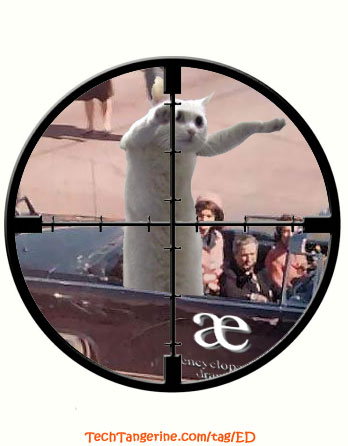 Shots were heard from the grassy knoll